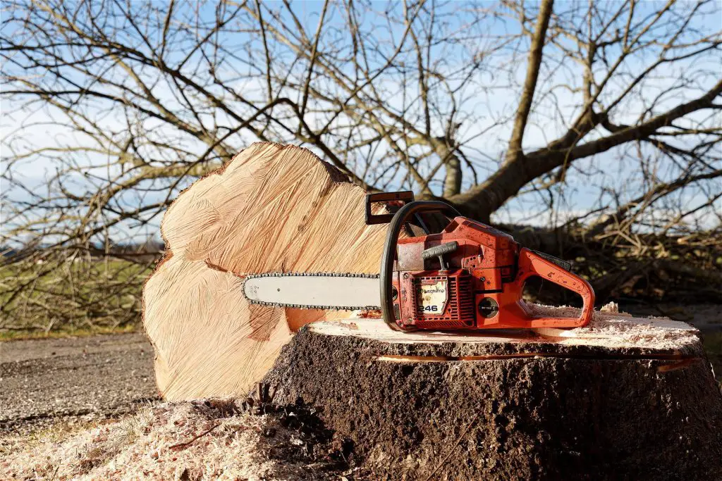 How to Cut a Fallen Tree under Tension